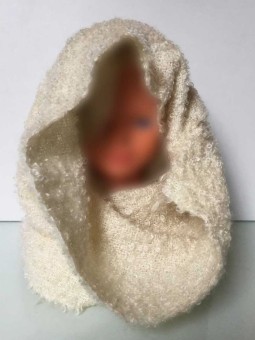 Col capuche